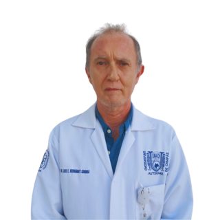 Dr. Luis Ernesto Hernández Gamboa